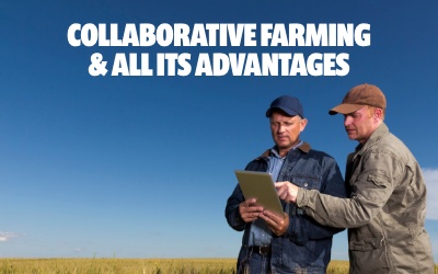 Collaborative Farming & all its Advantages